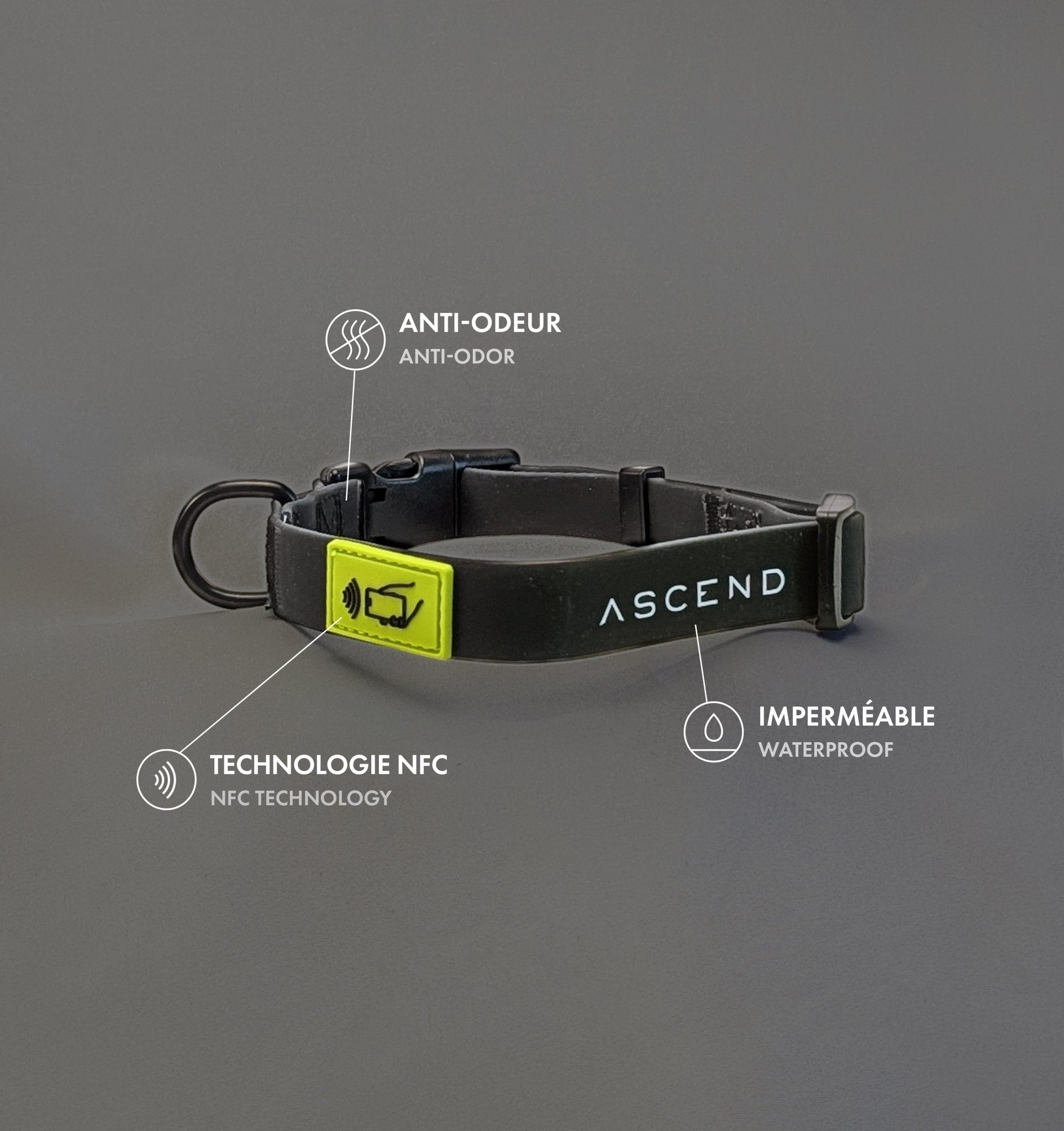 Ascend NFC Collar - Ascend DogWear