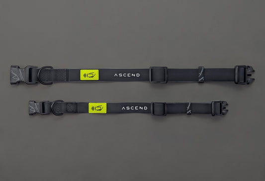 Ascend NFC Collar - Ascend DogWear